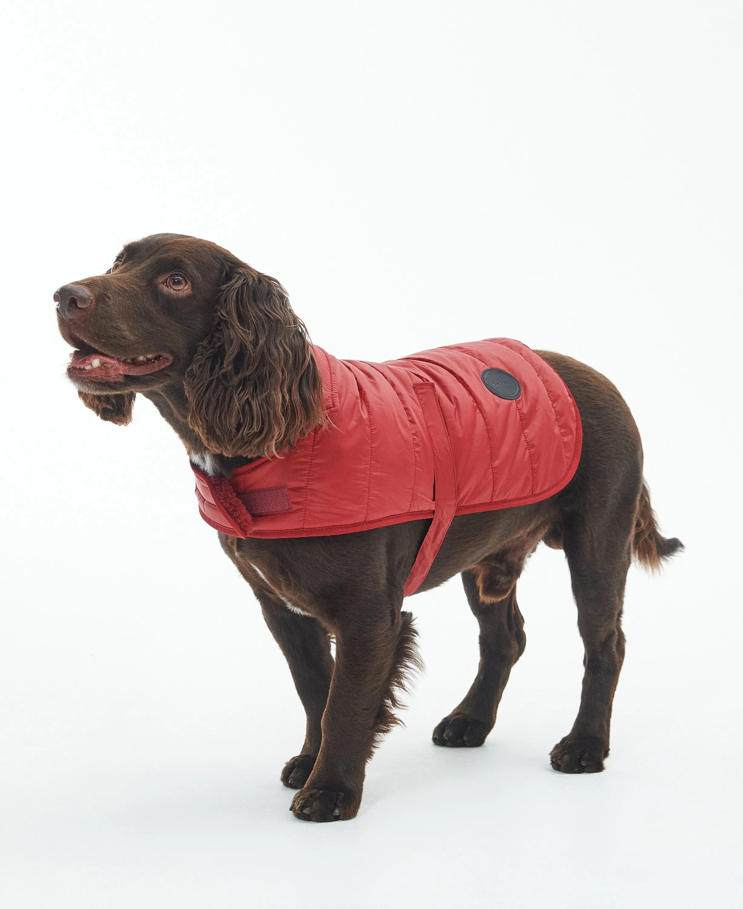 Baffle Quilted Dog Coat Wine